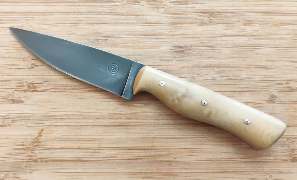 Left side of Southern Magnolia Bird Trout Knife on wood surface