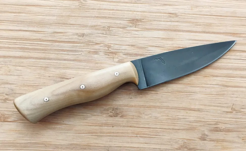 Southern Magnolia Bird & Trout knife with coffee-etched 1095 steel blade and Southern Magnolia handle on a wooden surface.