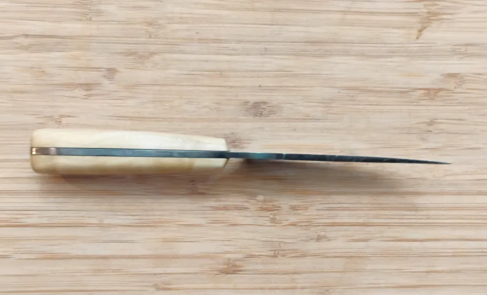 Spine View of custom crafted Southern Magnolia Trailing Point #331 knife showcasing the 1/8" high carbon steel and light colored handle.