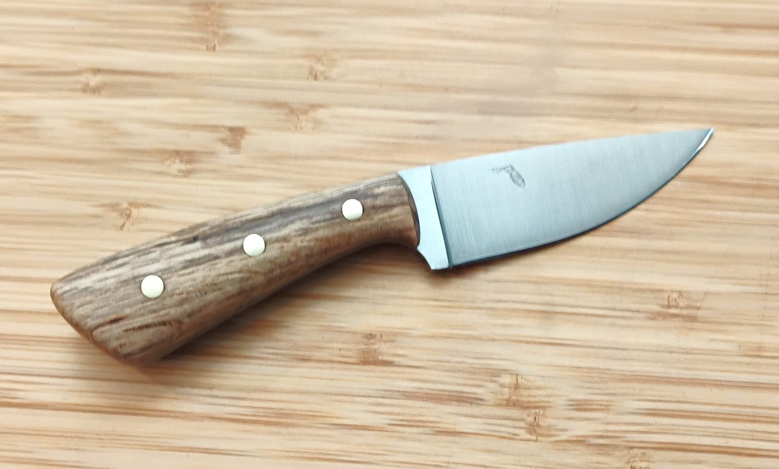 GreBec Knives caping knife with Florida figured bur oak handle, drop-point blade with brushed finish, and Florida logo