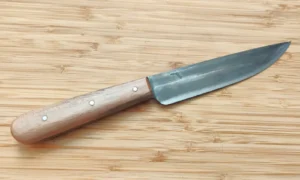 Handcrafted knife with stabilized Florida Black Olive Wood handled historic knife featuring olive-brown grain and grey-blue streak and Florida logo on the high carbon steel blade.