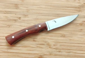 Handcrafted Bird and Trout knife with Wild Plum handle and 1095 steel blade with the State of Florida logo visible – right side view