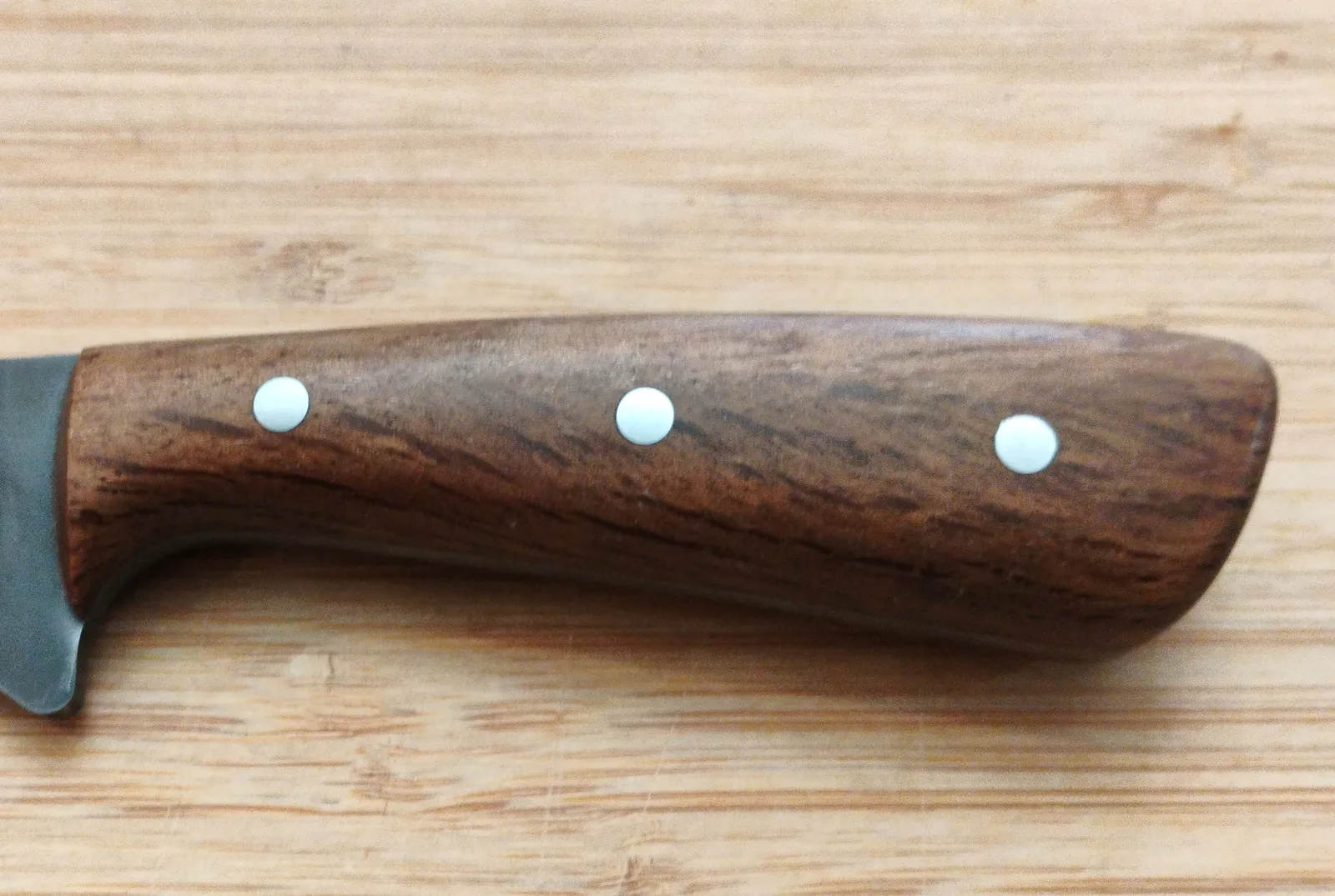 Left view of a Florida Live Oak custom hunting knife  showing the stabilized dark oak wood with black grain pattern and mild steel pins.