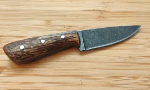 Right side view of Bur Oak Neck Knife #455 highlighting the full blade profile, Florida etch, and rugged dark grain in the wood handle.